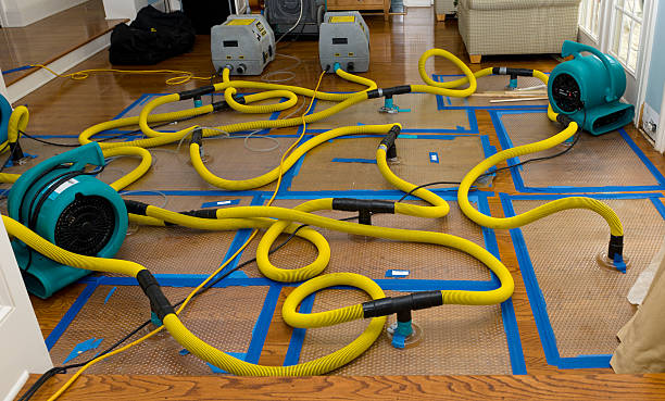 Professional Emergency Water Removal technician working in Cranesville, PA
